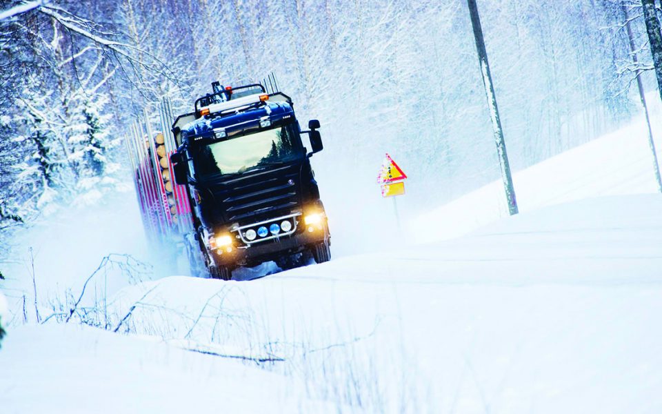 With Rapidex without winter trouble!